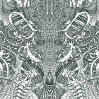 awkwarden thumbnail