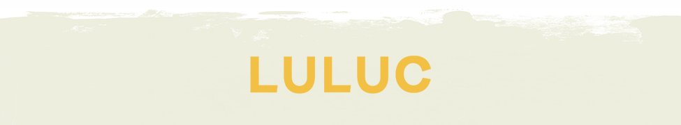 Luluc — Photo