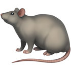 Paul Rattenbury thumbnail