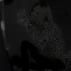 wailpith thumbnail