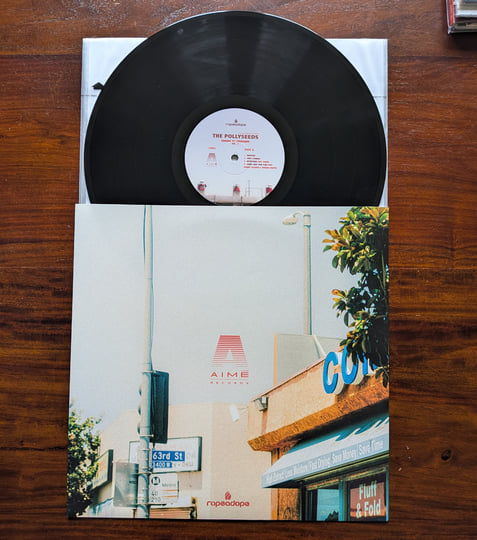 洋楽 Sounds Of Crenshaw Vol. 1 The Pollyseeds Sounds Of Crenshaw Vol. 1 | Terrace Martin Presents The Pollyseeds