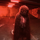 just-jef thumbnail