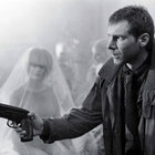 Matt Englund thumbnail