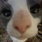 d0ct0rzer0 thumbnail