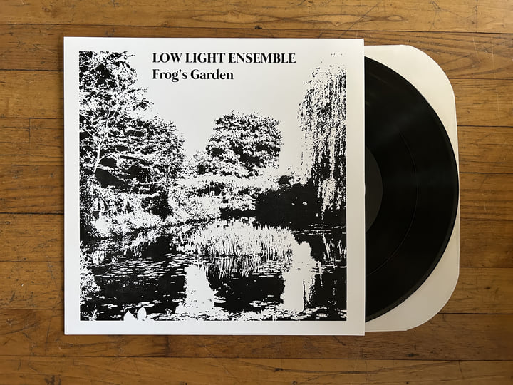 Frog's Garden | Low Light Ensemble | Stereophonk