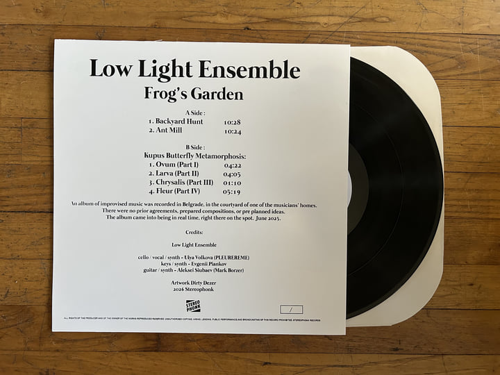 Frog's Garden | Low Light Ensemble | Stereophonk