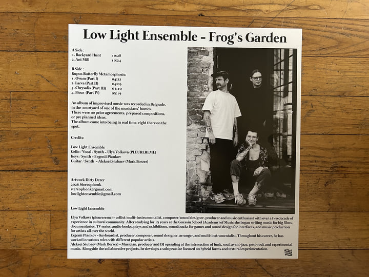 スプリングランド demo CD Frog's Garden | Low Light Ensemble | Stereophonk