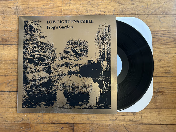 Frog's Garden | Low Light Ensemble | Stereophonk