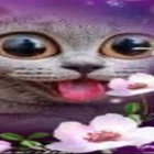optimuspringle3 thumbnail