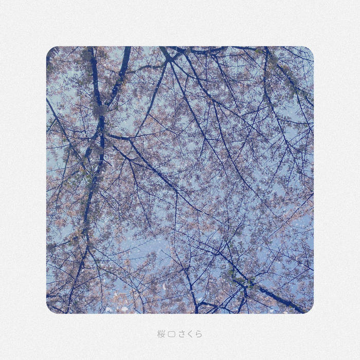 Sakura (桜 o さくら) | Diego Tomassetti