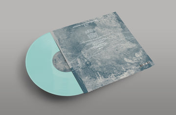 Vinyl - 500 Limited Edition / hand numbered, image 2
