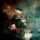 wyntersky thumbnail