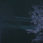 baka_bobi thumbnail