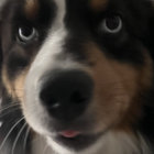 graeme thumbnail