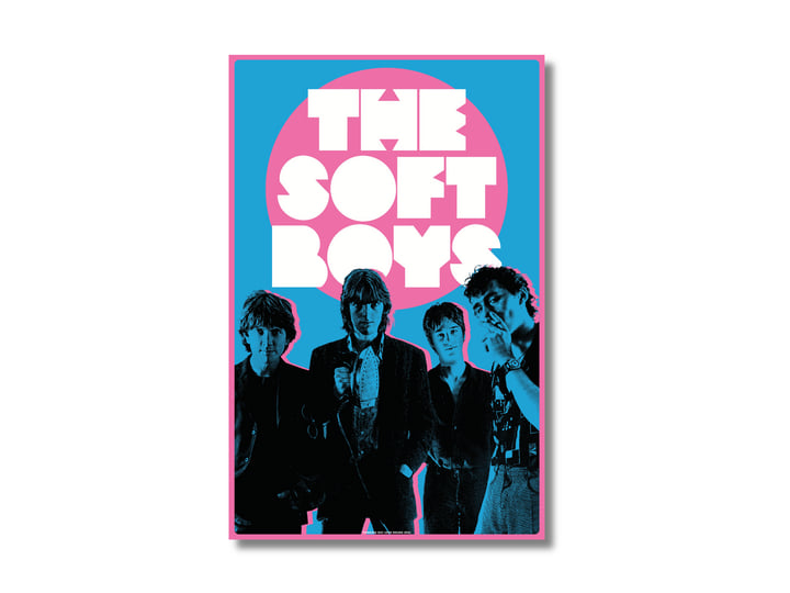 Underwater Moonlight (45th ANNIVERSARY REMASTER) | The Soft Boys