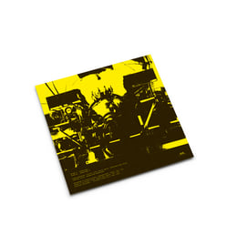 Limited Edition 12" Vinyl in 199 copies, image 2