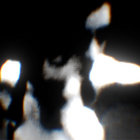 aphexlady thumbnail
