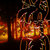 fauna walton thumbnail