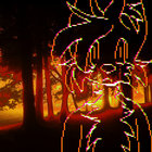 fauna walton thumbnail