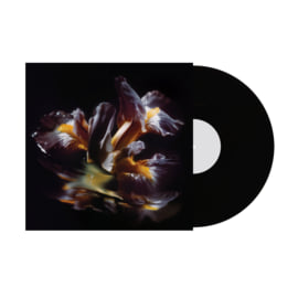 Limited LP - Test Pressing, image 1
