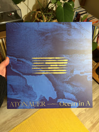 12" Vinyl, image 5