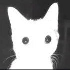aprilsapples thumbnail