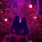 ch0uxbun thumbnail