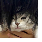 agun thumbnail