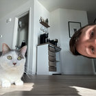 MindFuzzEnjoyer thumbnail