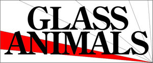 Glass Animals — Photo