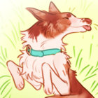 Heather thumbnail