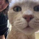natgrantmusic thumbnail