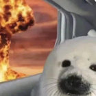 crazyblender thumbnail