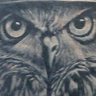 godowl thumbnail