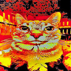 Coupdekat thumbnail