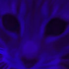 wilson5735 thumbnail