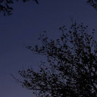 A. thumbnail
