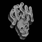 frankensesh thumbnail