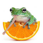DrownInMayo thumbnail