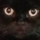 Chenoa thumbnail