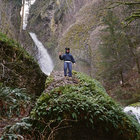 backyardmango thumbnail
