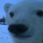 Ettore(IT) thumbnail