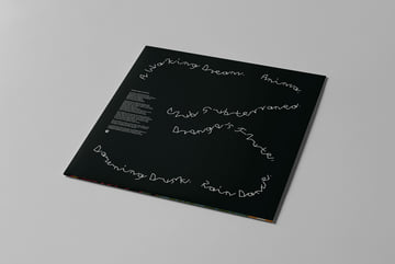 Limited Edition Transparent Orange Vinyl (500 no repress), image 5