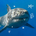 ukupanipo thumbnail