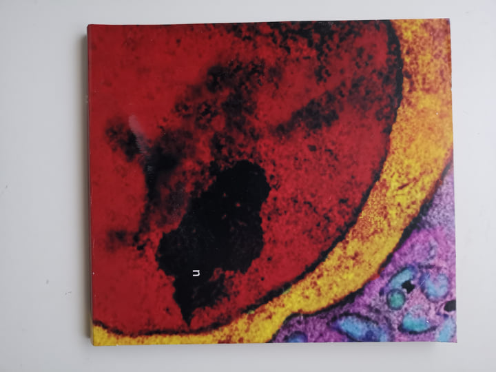 Handmade editions | Maurizio Bianchi / M. B.