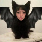 joeyspa thumbnail