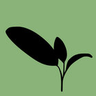 Sagebrush Repair thumbnail