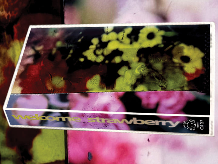 floral arrangements | Welcome Strawberry