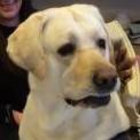 Pfffftttt83952 thumbnail