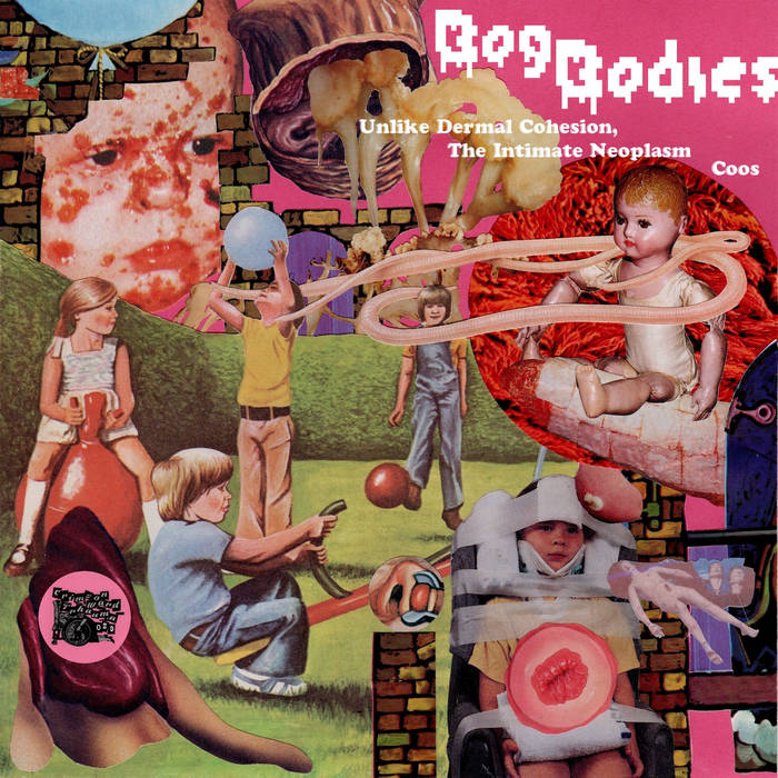 Bog Bodies — Photo